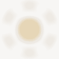 National-Level Website Security - Royal x casino